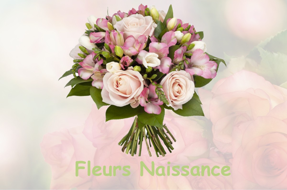 fleurs naissance GY-LES-NONAINS