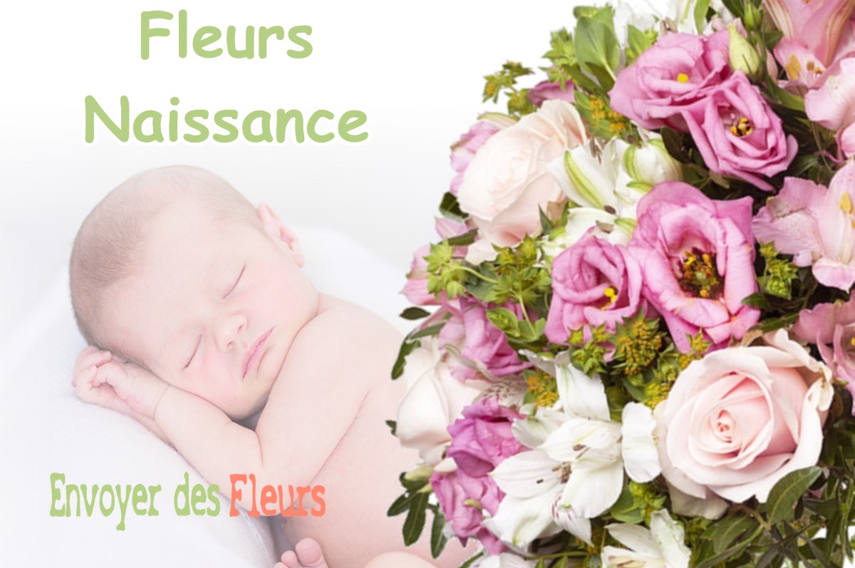 lIVRAISON FLEURS NAISSANCE à GY-LES-NONAINS