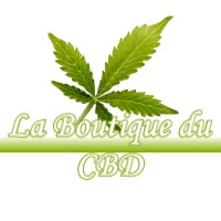 LA BOUTIQUE DU CBD GY-LES-NONAINS 